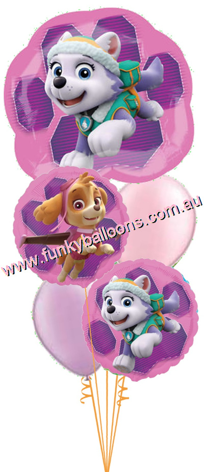 (image for) Paw Patrol Skye + Everest Bouquet - Click Image to Close